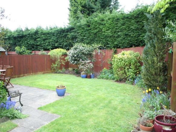 Photo 5