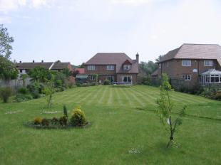 Rear elevation