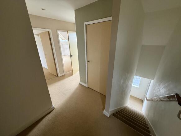 IMG 1790 T202603111744.jpeg