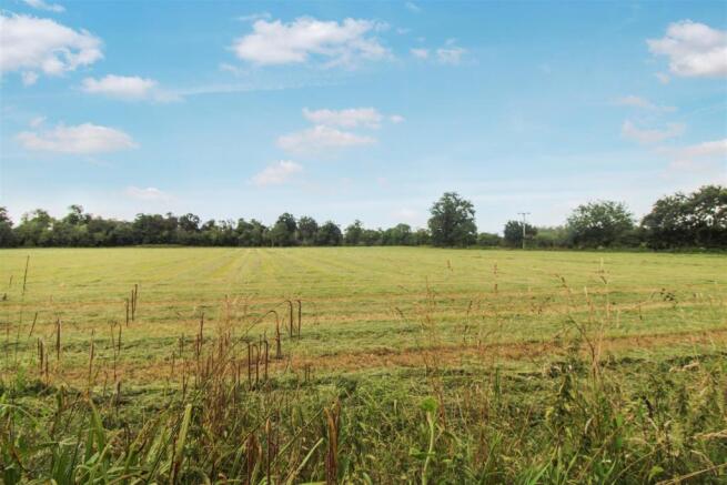 field views