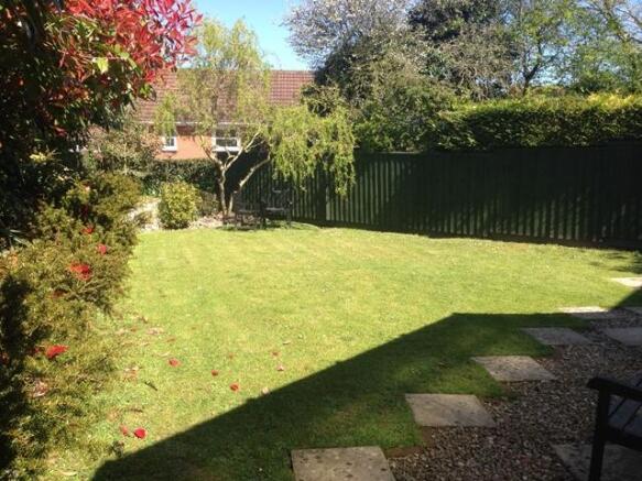 Photo 12