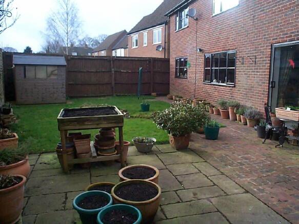 Photo 11