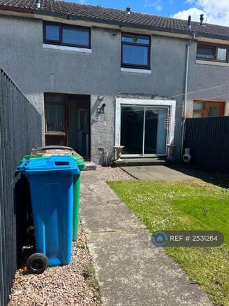 Back Garden Area 