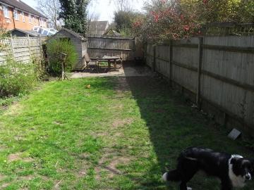 Photo 6
