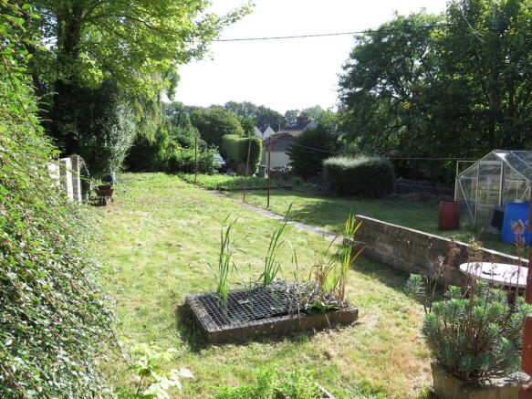 Photo 5