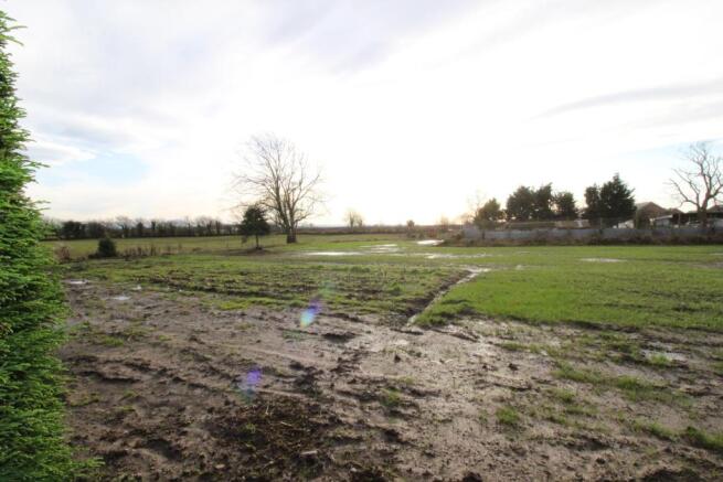 Field