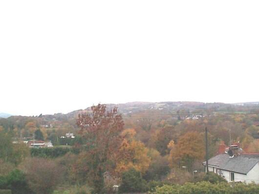 View from Bedroom
