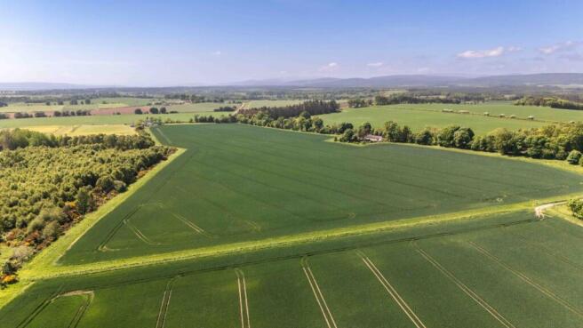 Mounteagle - Lot 1
