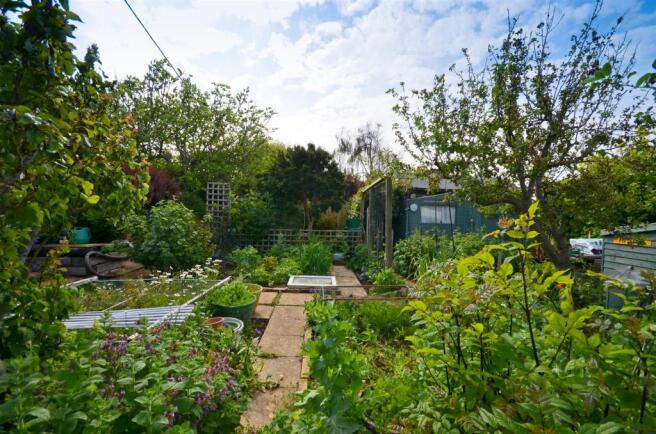 Grow your own veg