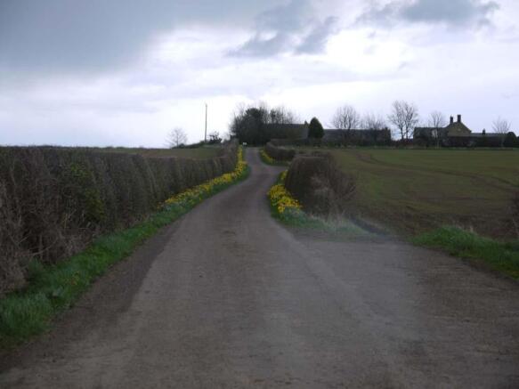 Driveway