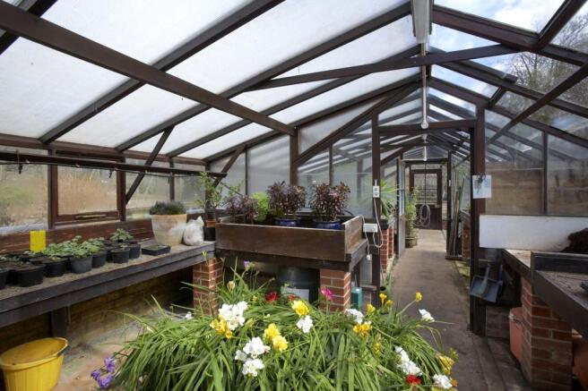 Propagating Shed