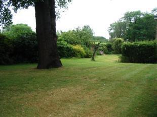Communal Gardens