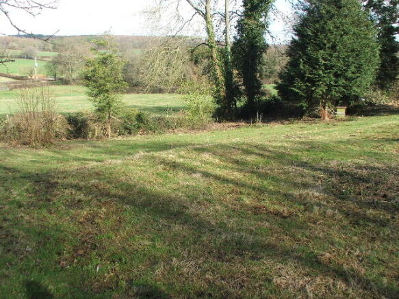 Lower Paddock