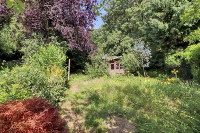 garden1.jpg