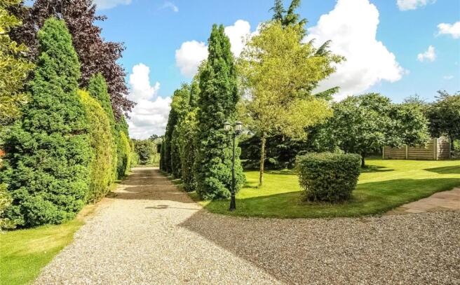 Driveway