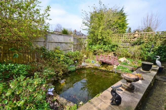 Pond