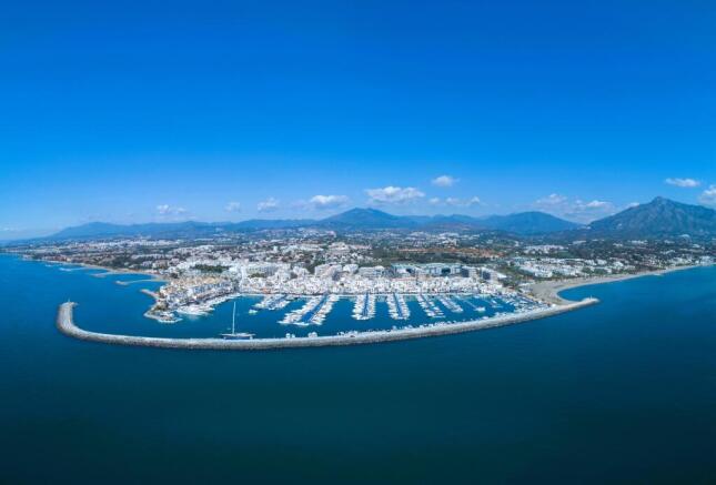 shutterstock_1362772217 - Copy.jpg