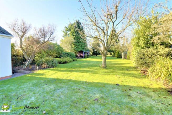 Garden at Back