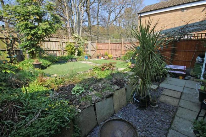 Garden 2.jpg