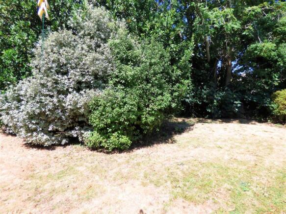 GARDEN 1.JPG