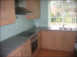 Re-Fitted Kitchen