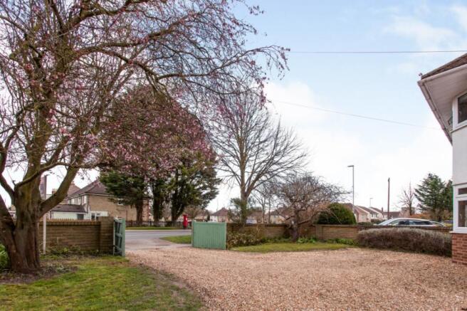 Picture No.14