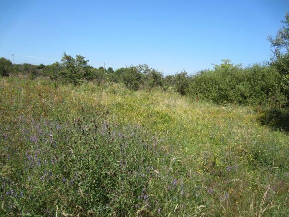 Field