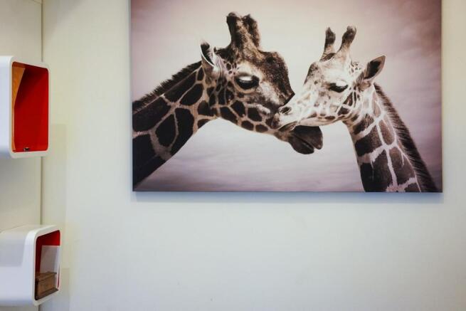 Photograph 56