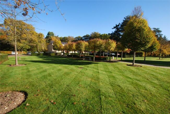 Grounds