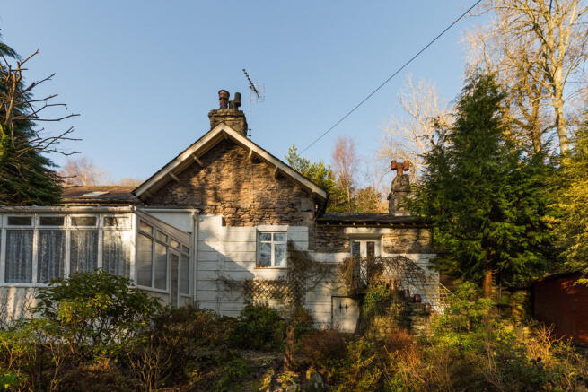 Rear aspect