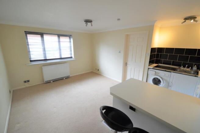 Living/dining room