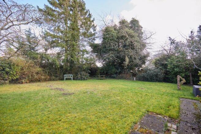 Rear Garden 1.1