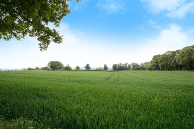 Open Fields Close By