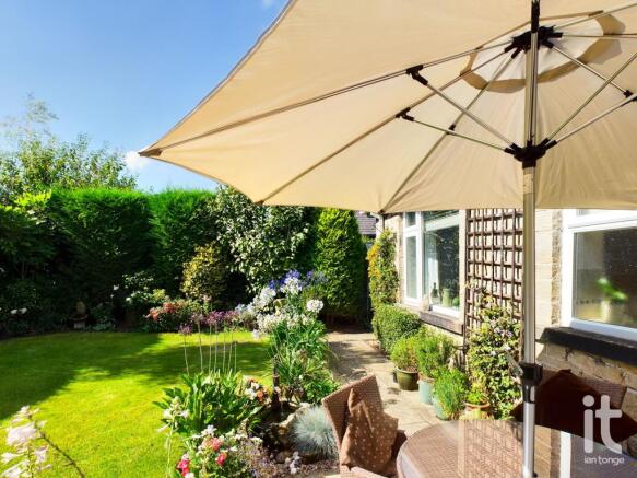 Water Feature and Patio