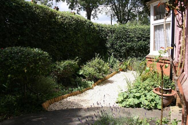 Front garden1.jpg