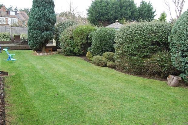 Rear Lawn