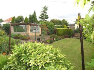 Garden pic 1