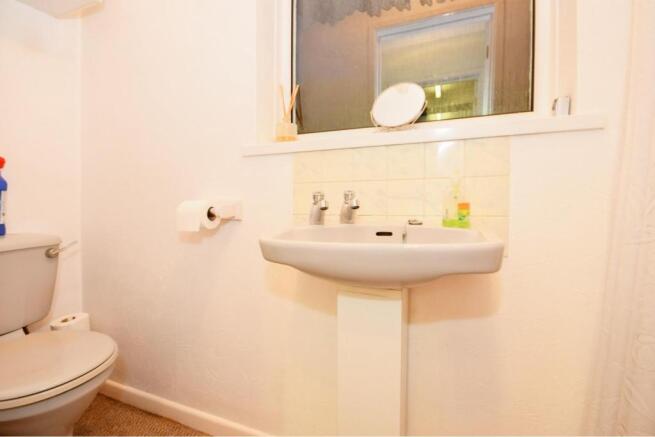 Downstairs Shower