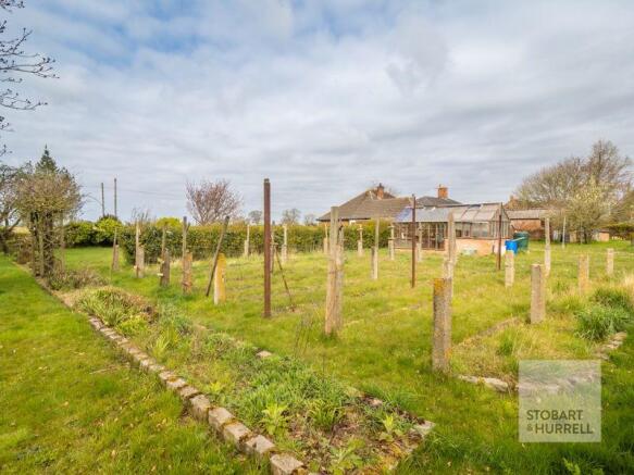 Vegetable Patch