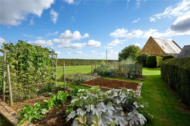 Vegetable Patch