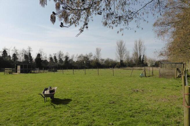 Photo 44
