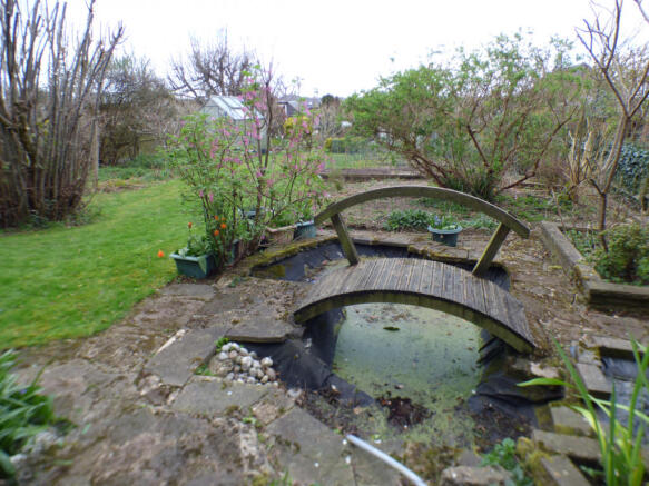 Pond