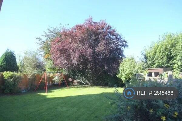 Back Garden