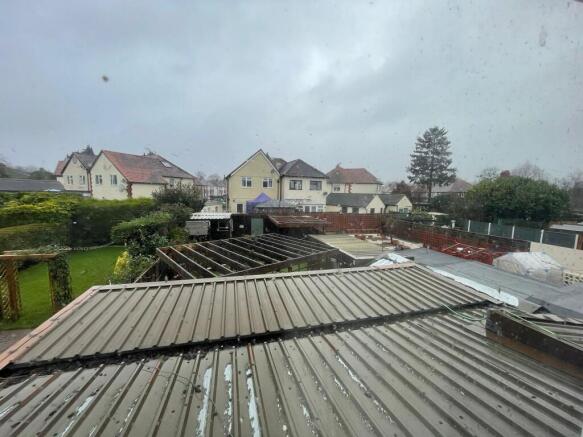 IMG 3130 T202601291311.jpeg