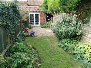 Photo 15