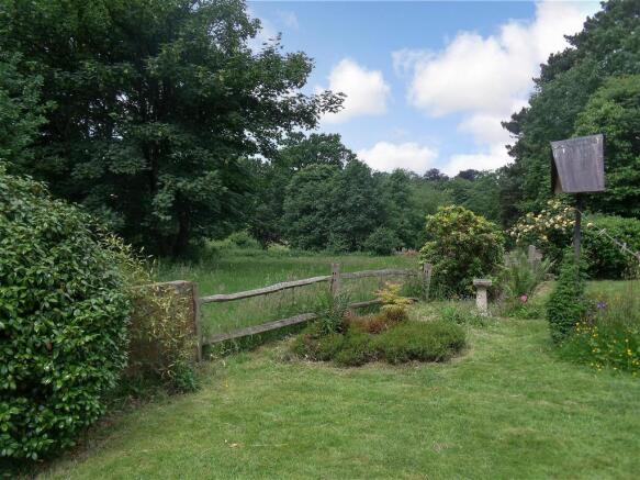 Garden And View
