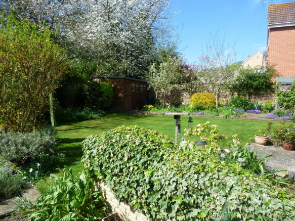 Photo 6