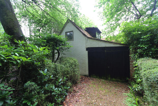 Photo 16