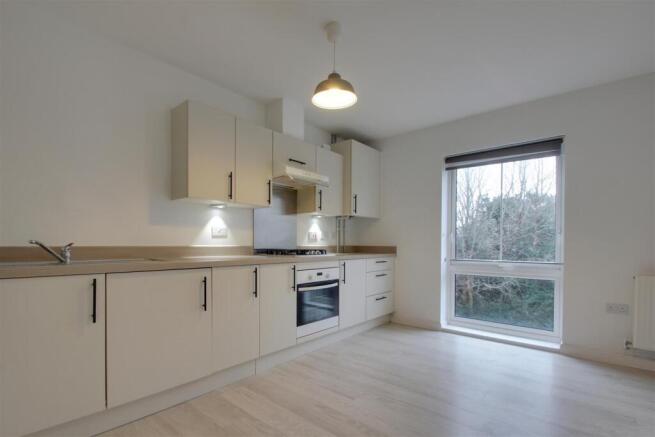 Open Plan Lounge Kitchen