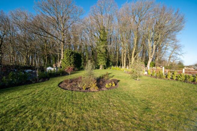 REAR GARDEN 03.jpg